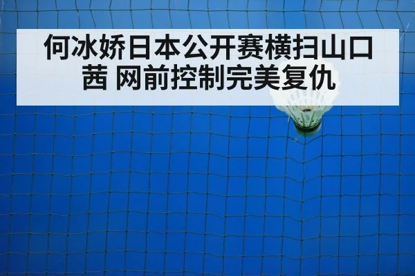 badminton net shot