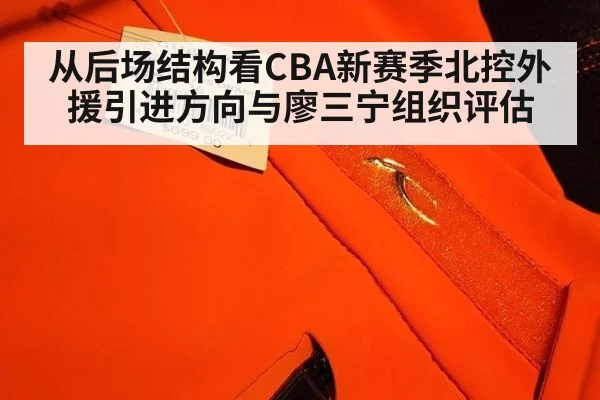 从后场结构看CBA新赛季北控外援引进方向与廖三宁组织评估